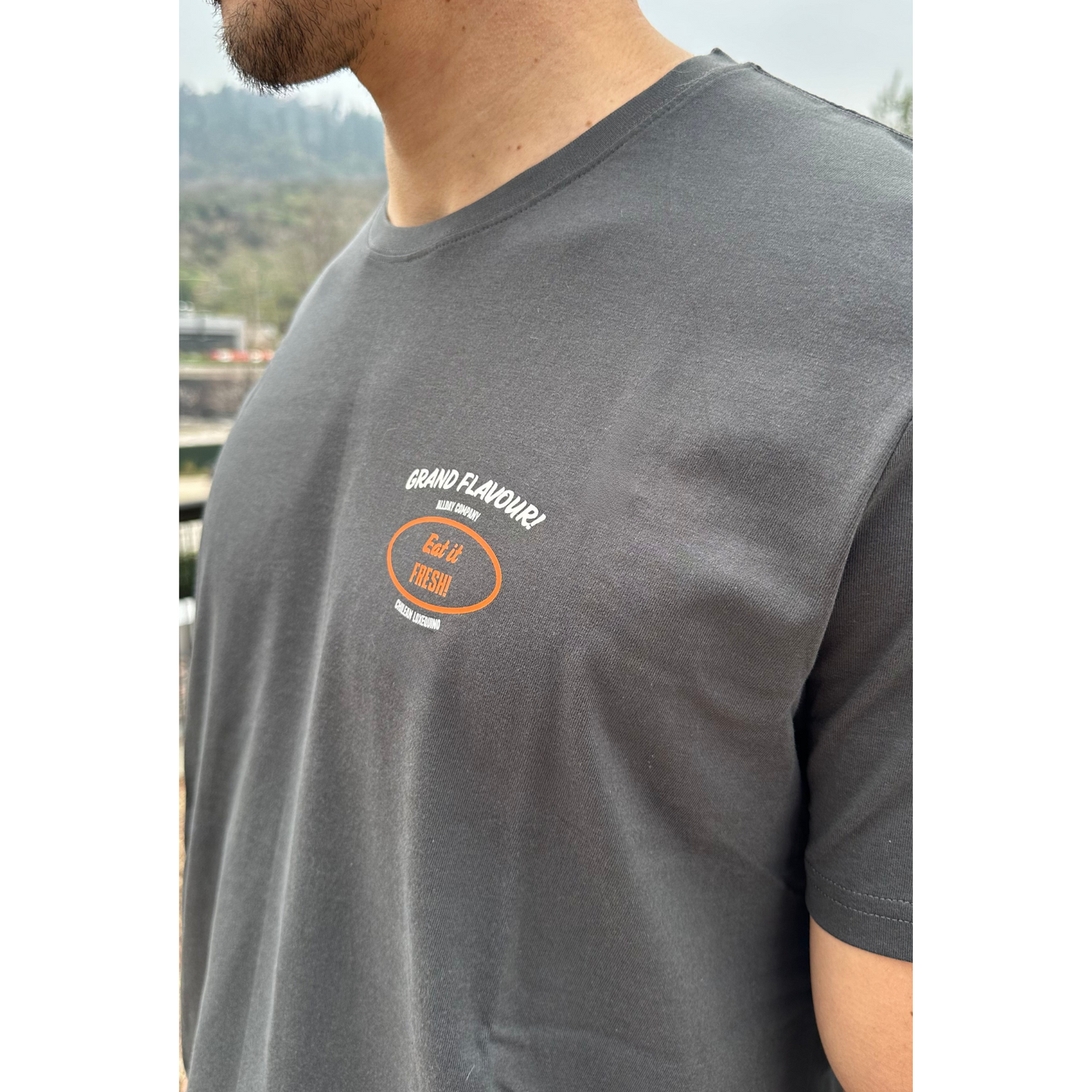 Polera Erizo - Manga Corta Slim Fit