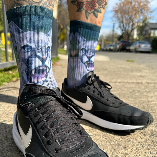 Calcetines de un Puma Chileno