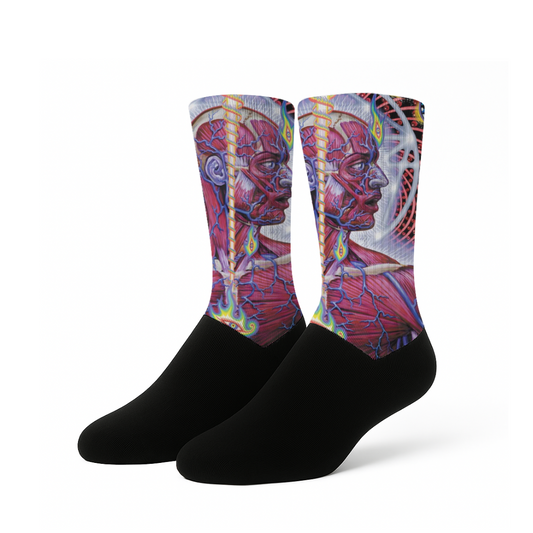 Lateralus - Calcetines Premium