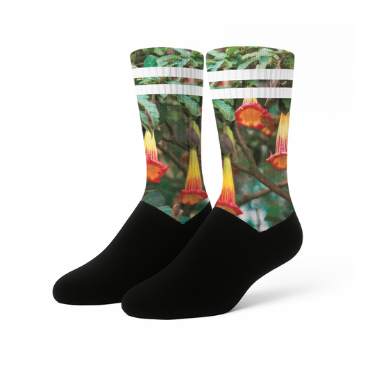 Floripondio - Calcetines Premium